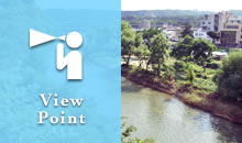 ビューポイント